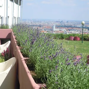 palace-hostel-schlossherberge.vienna-besthotels.com/